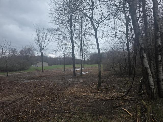 Land for sale in Michigan