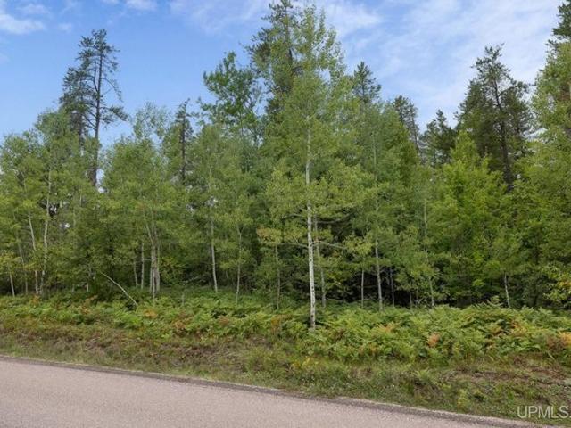 Land for sale in Negaunee, Michigan