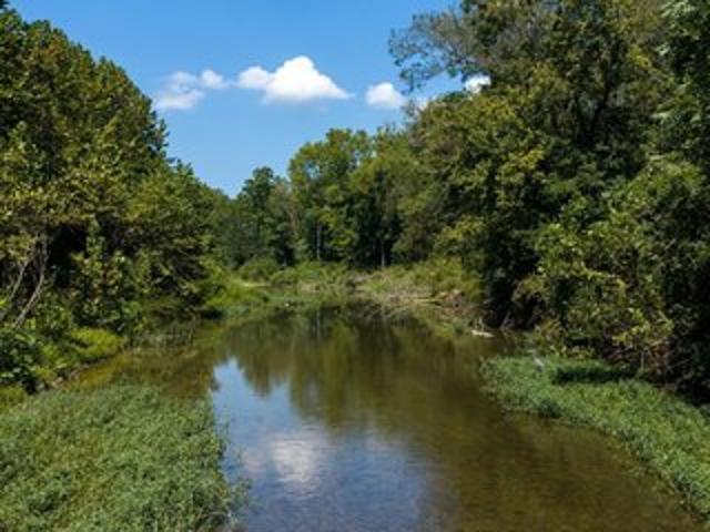 Land for sale in Tennessee