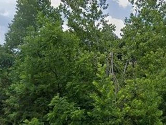 Land for sale in English, Indiana