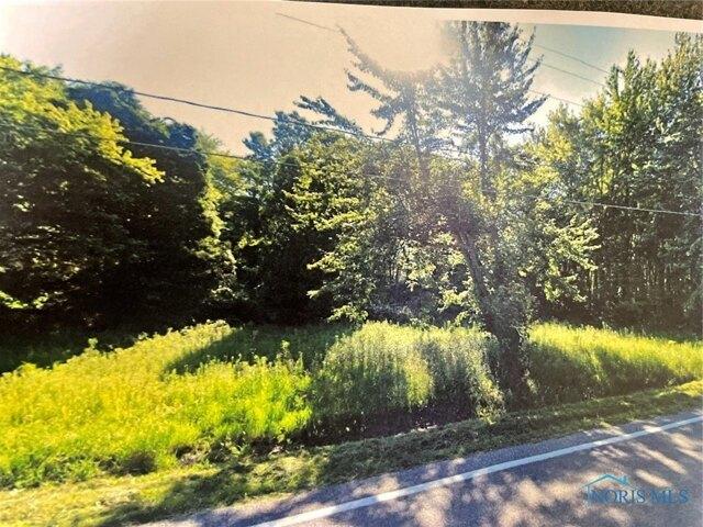 Land for sale in Swanton