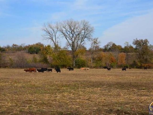 Land for sale in Kansas