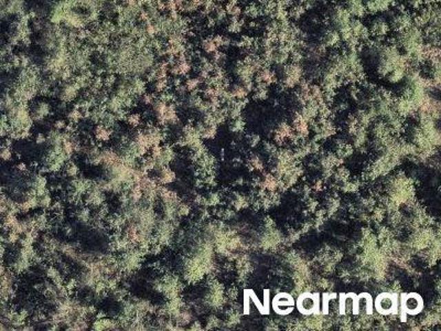 Property for sale in Texarkana, Texas
