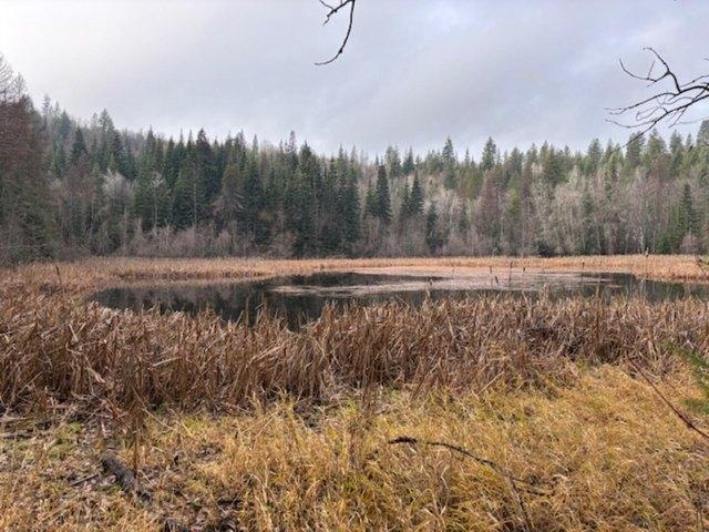 Land for sale in Newport, Washington