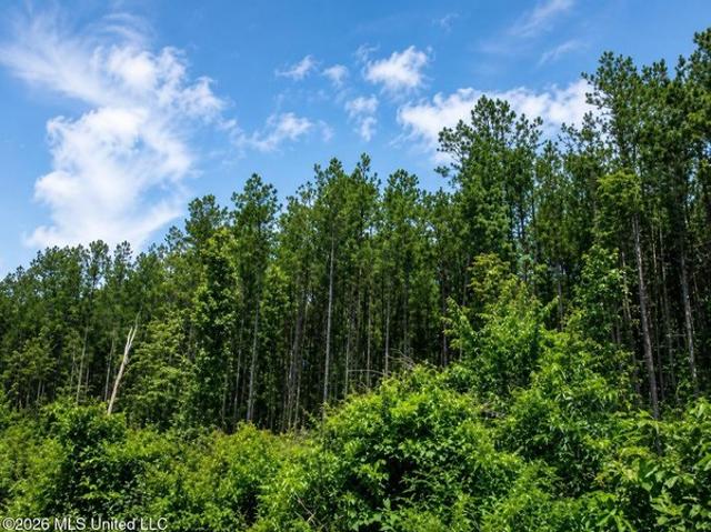 Land for sale in Mize, Mississippi