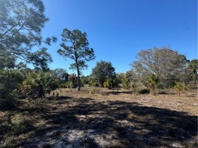 Land for sale in Clewiston Land for sale in Clewiston