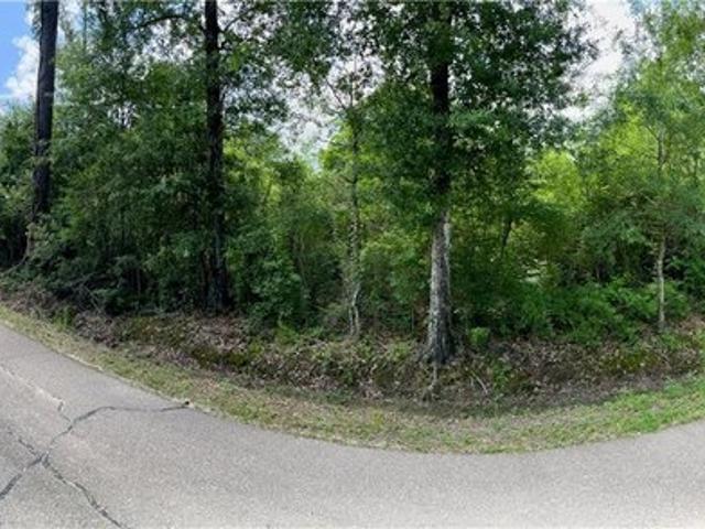 Land for sale in Holden, Louisiana