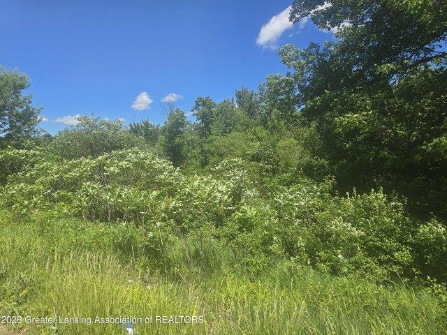 Land for sale in Eaton, Michigan