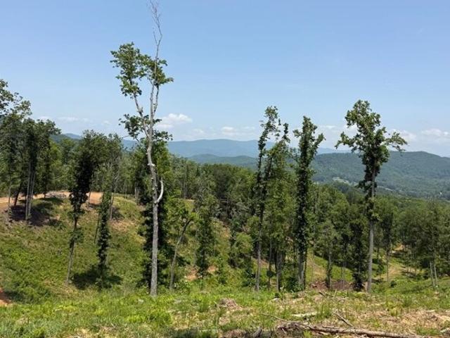 Land for sale in Hayesville