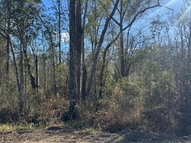 Land for sale in Adel, Georgia
