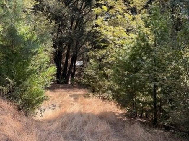 Land for sale in Oakhurst, California