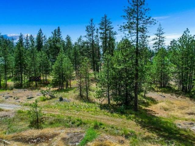 Land for sale in Medical Lake, Washington