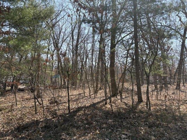 Land for sale in Baldwin, Michigan