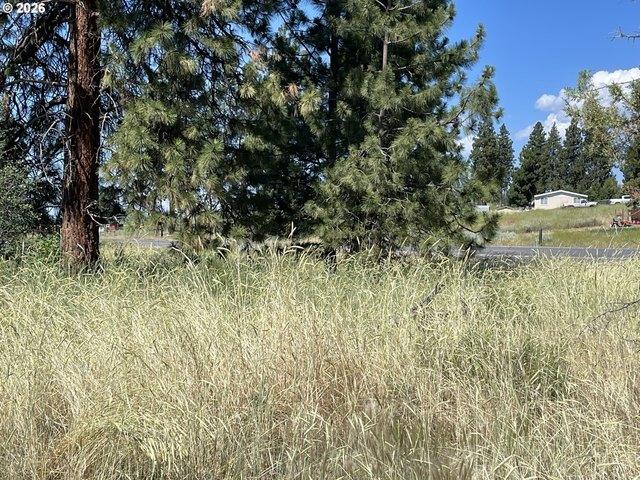 Land for sale in Oregonia