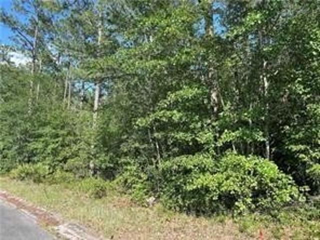 Land for sale in Waycross, Georgia