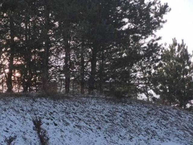 House for sale in Michigan