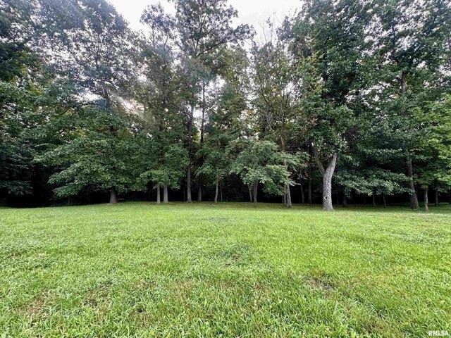 Land for sale in Dunlap, Illinois