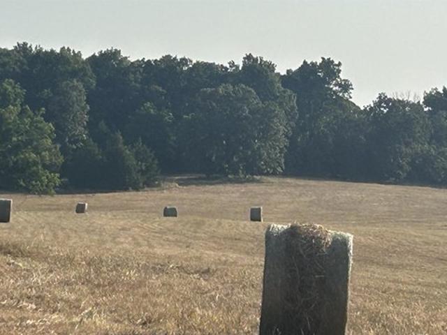 Land for sale in Ark