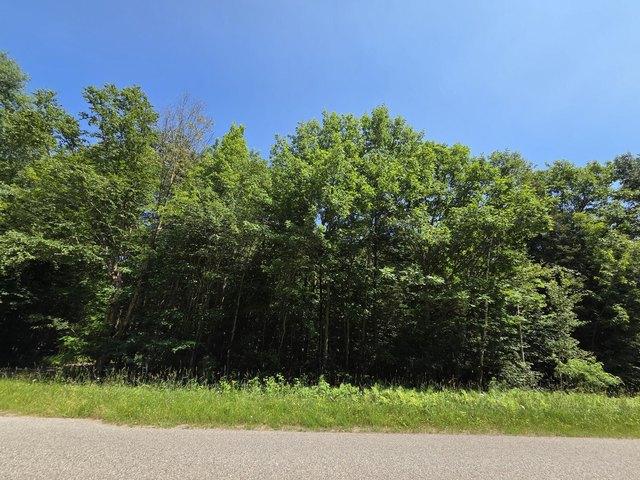 Land for sale in Barbeau, Michigan