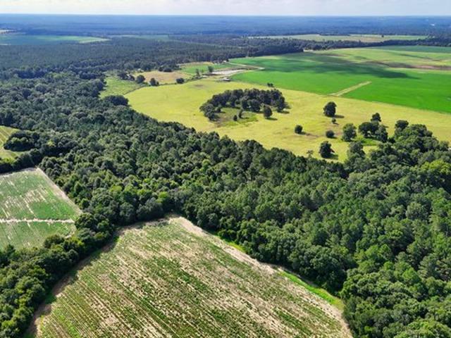 Land for sale in Dougherty, Georgia