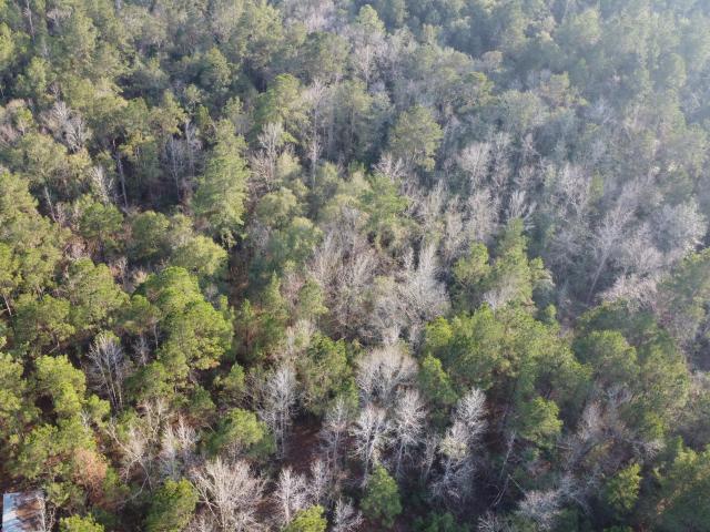 Land for sale in Columbia, Mississippi