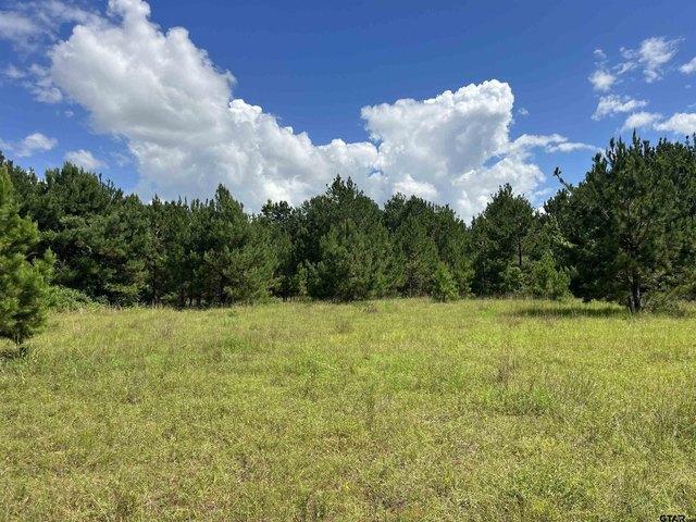 Land for sale in Henderson, Texas
