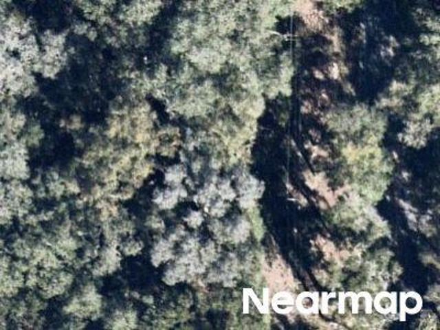 Land for sale in Hawthorne, Florida