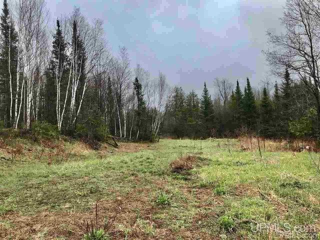 Land for sale in Bessemer, Michigan
