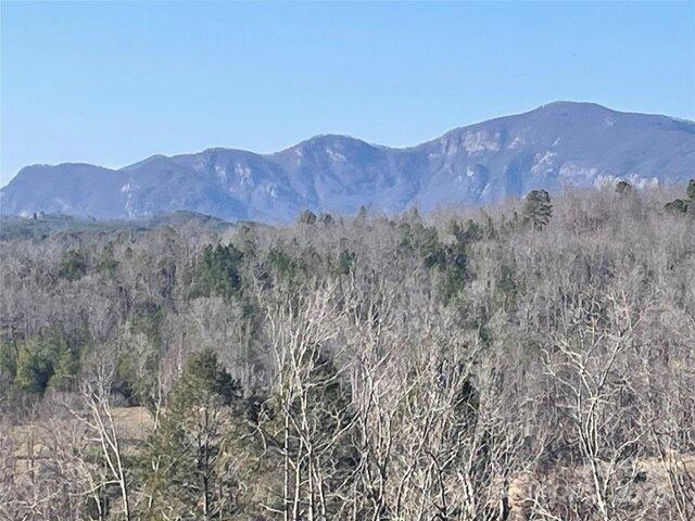 Land for sale in Mill Spring, North Carolina