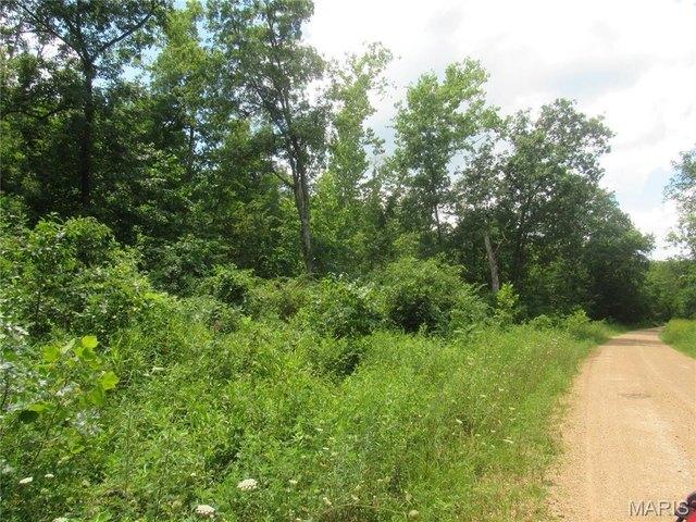 Farm for sale in Steelville, Missouri