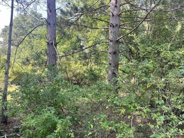 Land for sale in Friendship, Wisconsin