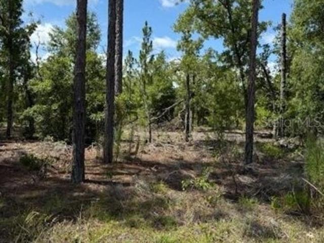 Land for sale in Hawthorne Land for sale in Hawthorne