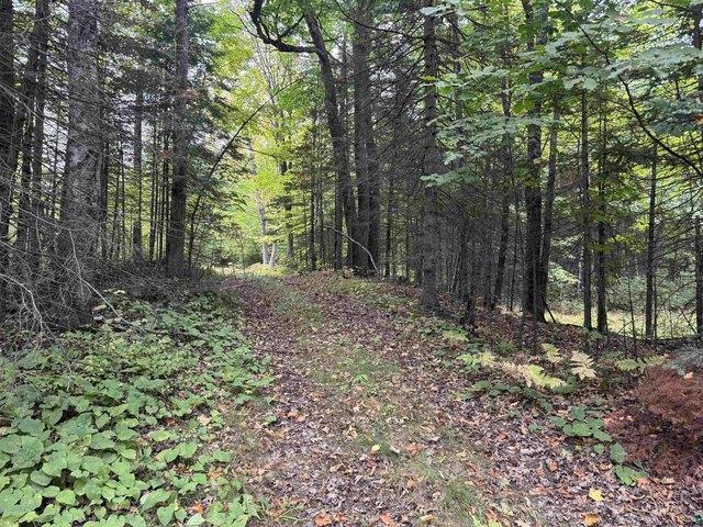 Land for sale in Maple, Wisconsin