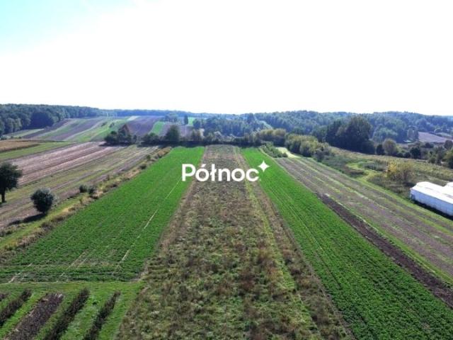 Grunt na sprzedaż w Nałęczów, Lubelskie