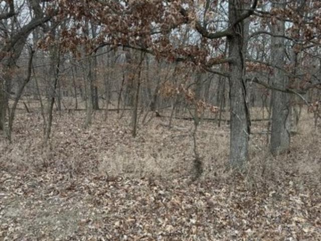 Land for sale in Seneca, Illinois