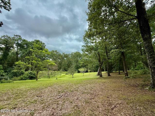 Land for sale in Florence, Mississippi
