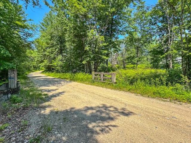Land for sale in Newfield, Maine