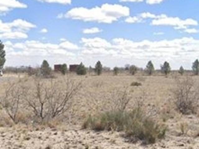 Land for sale in New Mexico