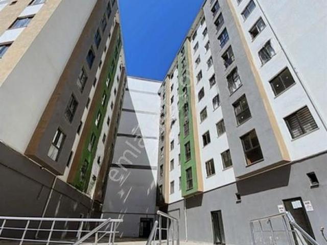 Düzce Merkez, Düzce içerisinde kiralık mülk