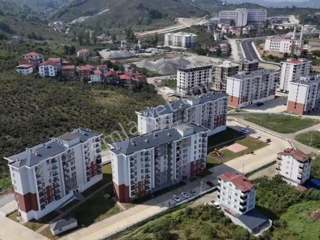 Ordu içerisinde kiralık mülk