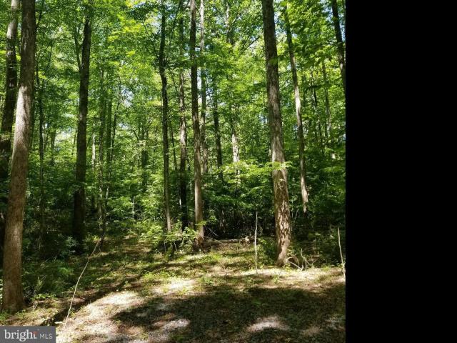 Property for sale in Virginia