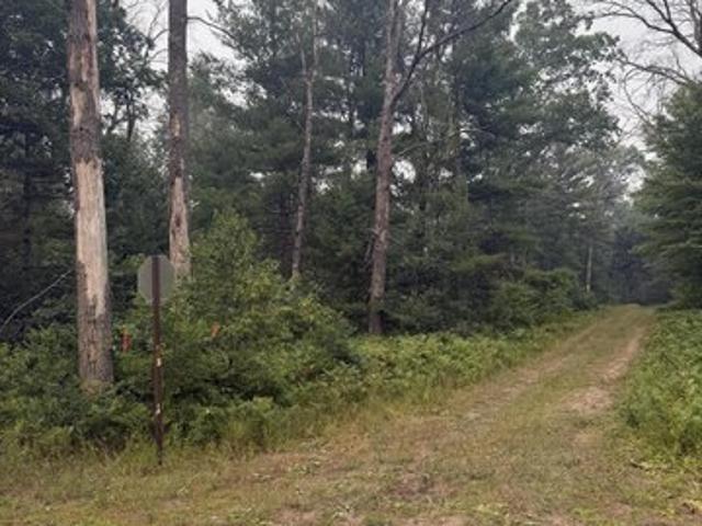 Land for sale in Baldwin, Michigan