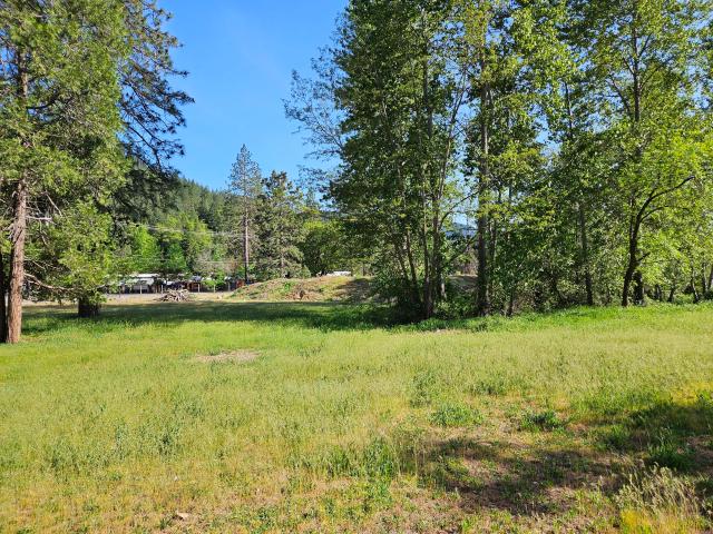 Land for sale in Dunsmuir, California