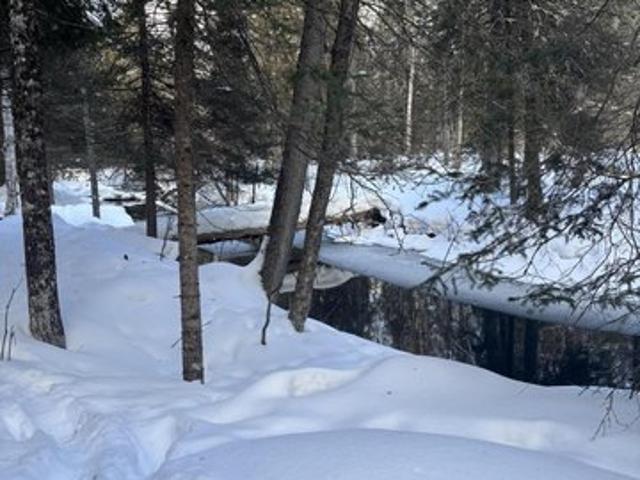 Land for sale in Cedarville, Michigan