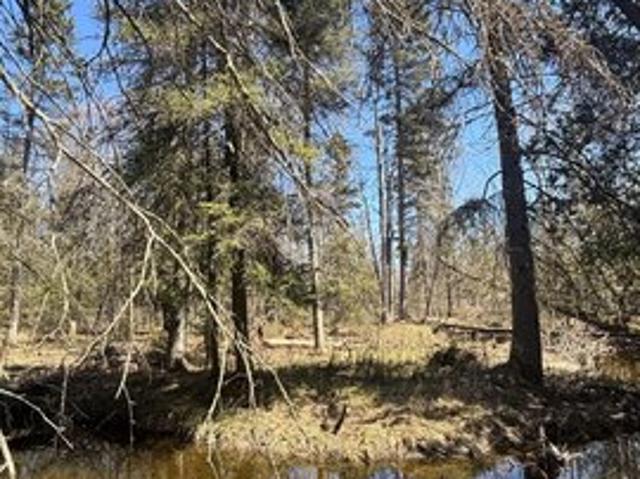 Land for sale in Cedarville, Michigan