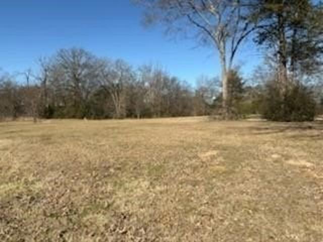 Land for sale in Van, Texas