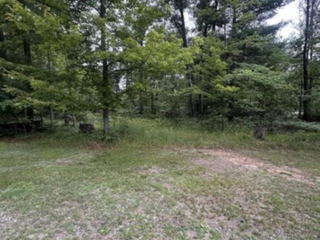 Land for sale in Alger, Michigan