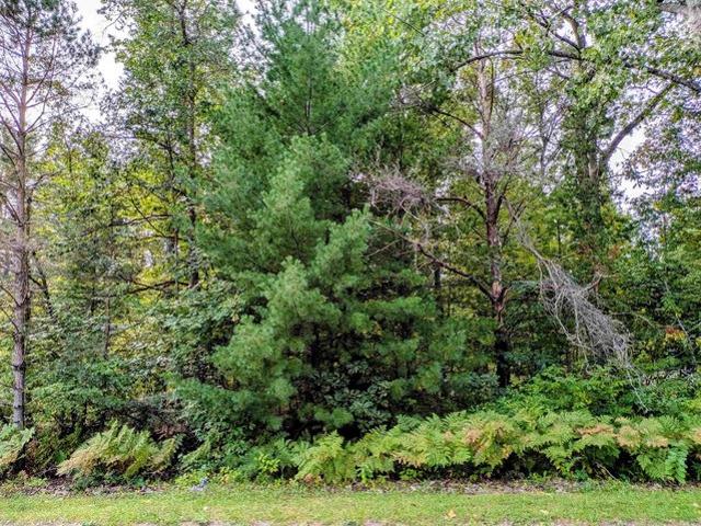 Land for sale in Alger, Moffatt Township