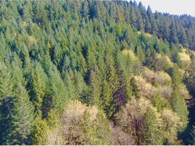 Land for sale in Oregonia