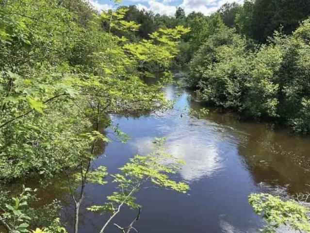 Land for sale in Michigan